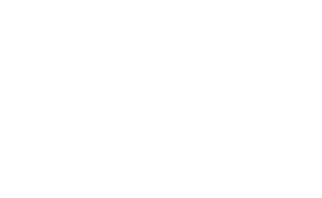 男性 20%