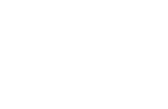 お弁当 50%