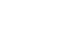 その他 19%