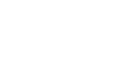 犬 50%