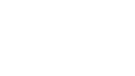 猫 50%