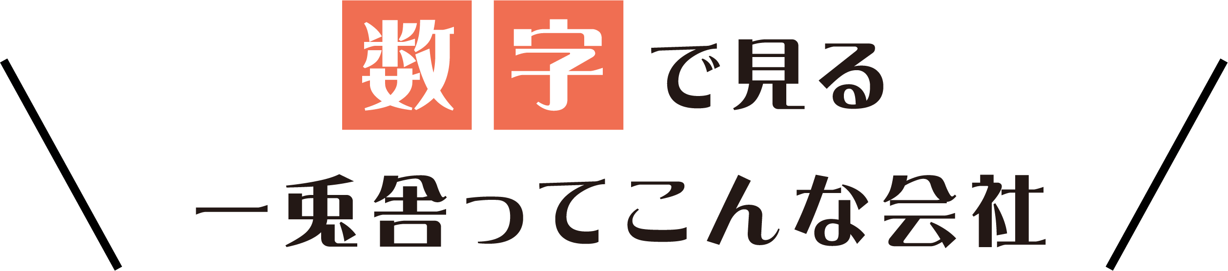 数字で見る一兎舎ってこんな会社